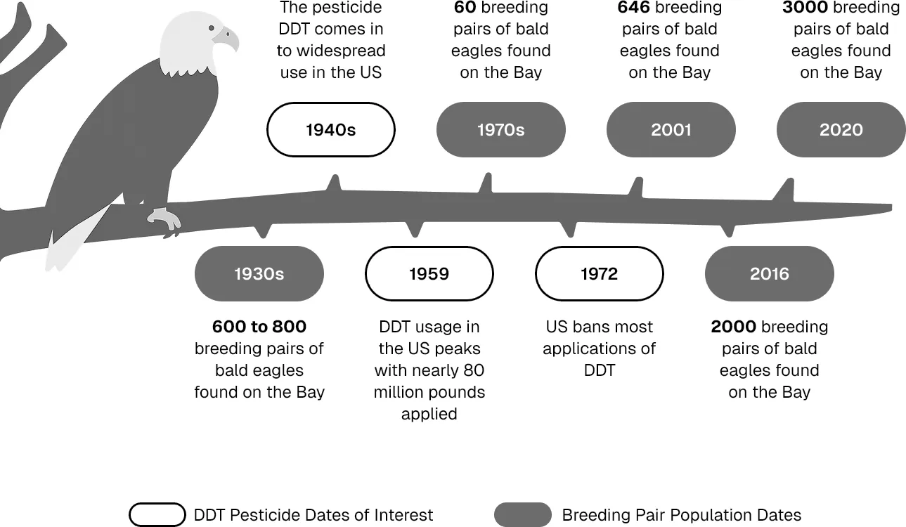 图10-2　DDT和白头海雕：20世纪30年代，切萨皮克湾一带有600到800对繁殖的白头海雕；40年代DDT在美国大规模使用，1959年用量达到顶峰，接近8000万磅；70年代只剩60对；1972年美国禁止了DDT的大部分用途；之后数量逐渐恢复，2001年646对，2016年2000对，2020年3000对